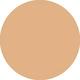 WN 46 Golden Neutral Even Better Makeup Broad Spectrum SPF 15 Foundation 