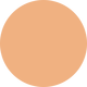 NC25 Studio Fix Powder Plus Foundation 